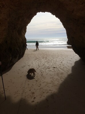 Una playa cerca