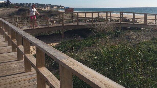Um calçadão de madeira leva a uma praia, com vista clara para o oceano.
