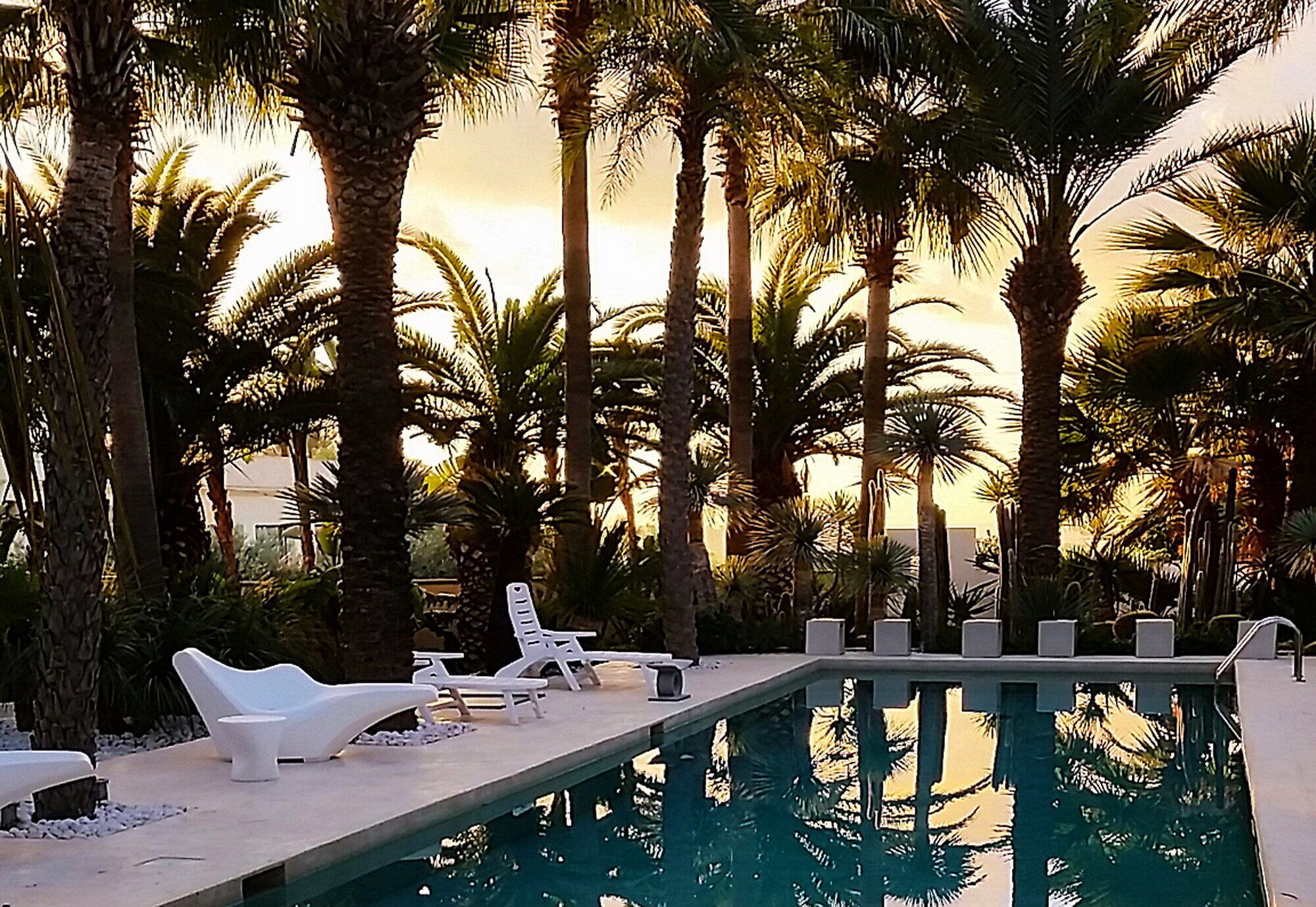 حمّام سباحة خارجي