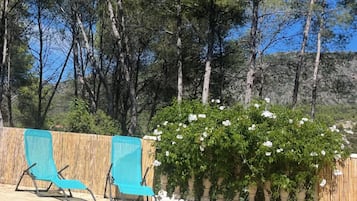 Outdoor pool, sun loungers