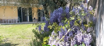 Immersed in the green relaxation of an authentic farmhouse and convenient to services