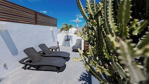 Una terraza en la azotea con sillones de descanso, una mesita y una planta en maceta.