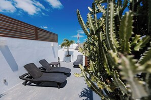 テラス / パティオ