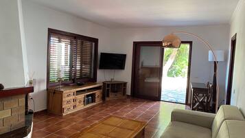 Télévision, cheminée, livres