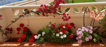 House near the beach