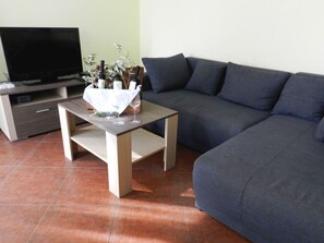 Fernseher