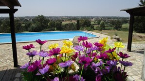 Ein Pool mit Blick auf eine ländliche Landschaft, umgeben von leuchtenden Blumen.