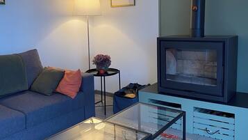 Platt-tv, dvd-spelare, ett filmbibliotek och en stereo