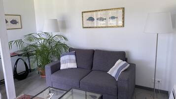 Flat-screen TV, DVD player, video library, stereo
