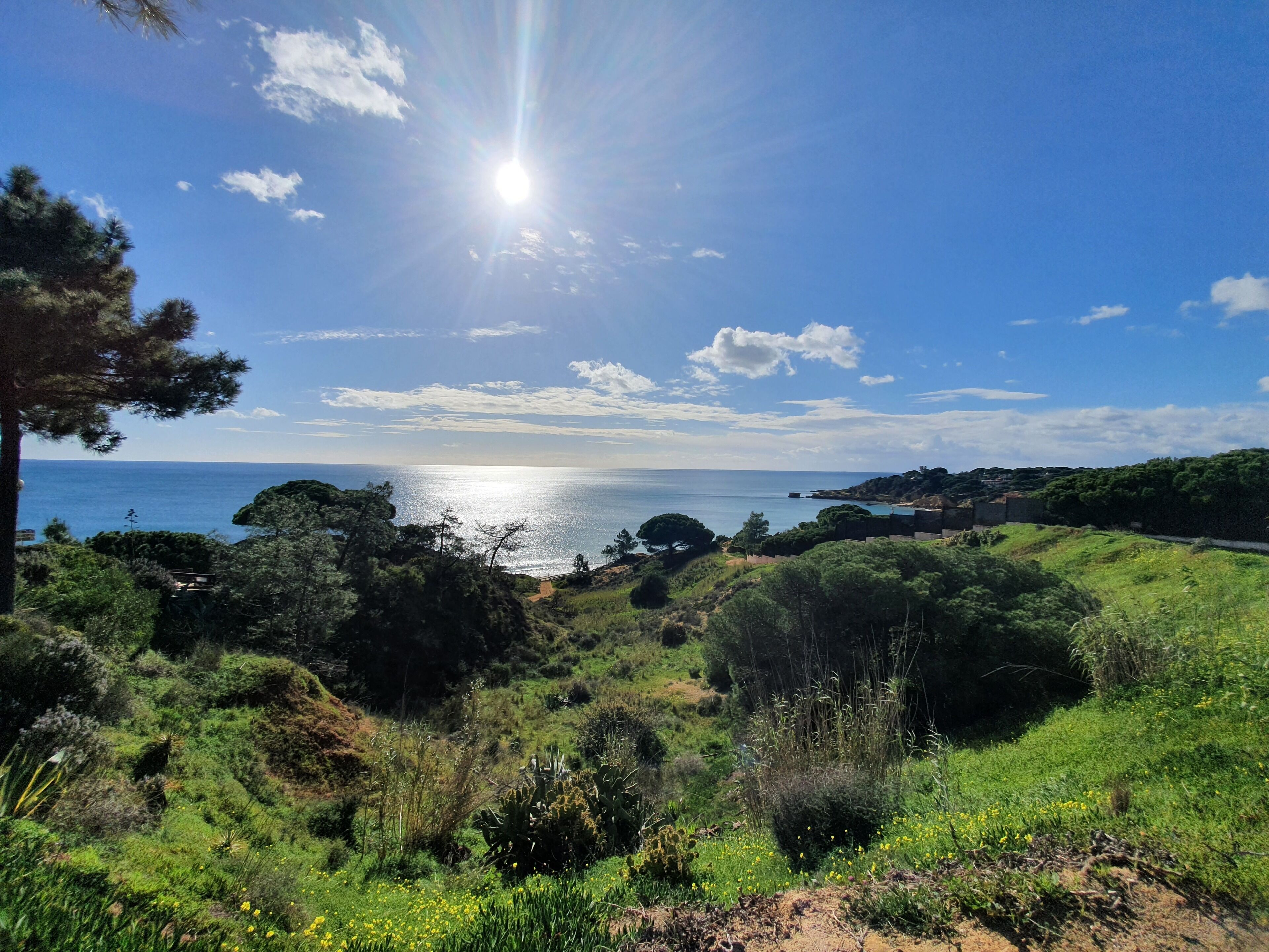 A coastal landscape with a clear sky, a sun shining over the sea, and a view of the coastline with greenery and trees.
