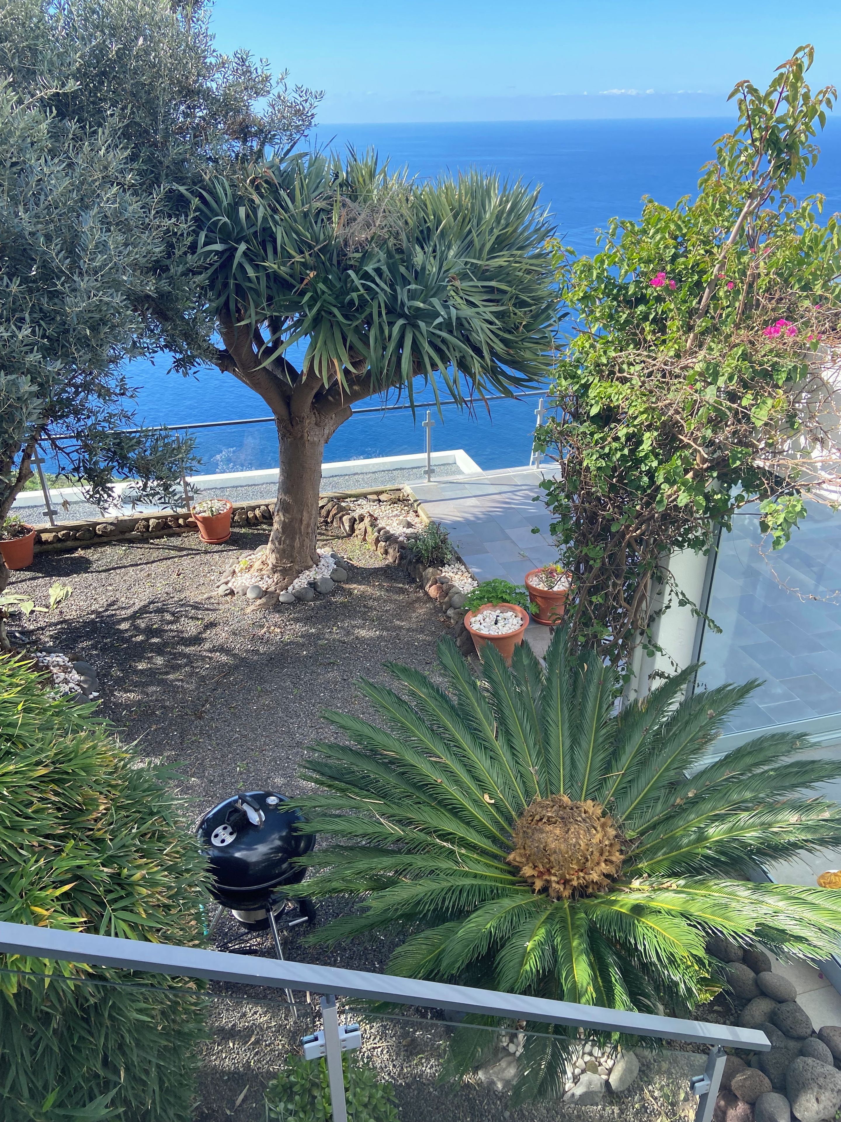 Un balcon avec vue sur la mer, des plantes en pot et un barbecue.