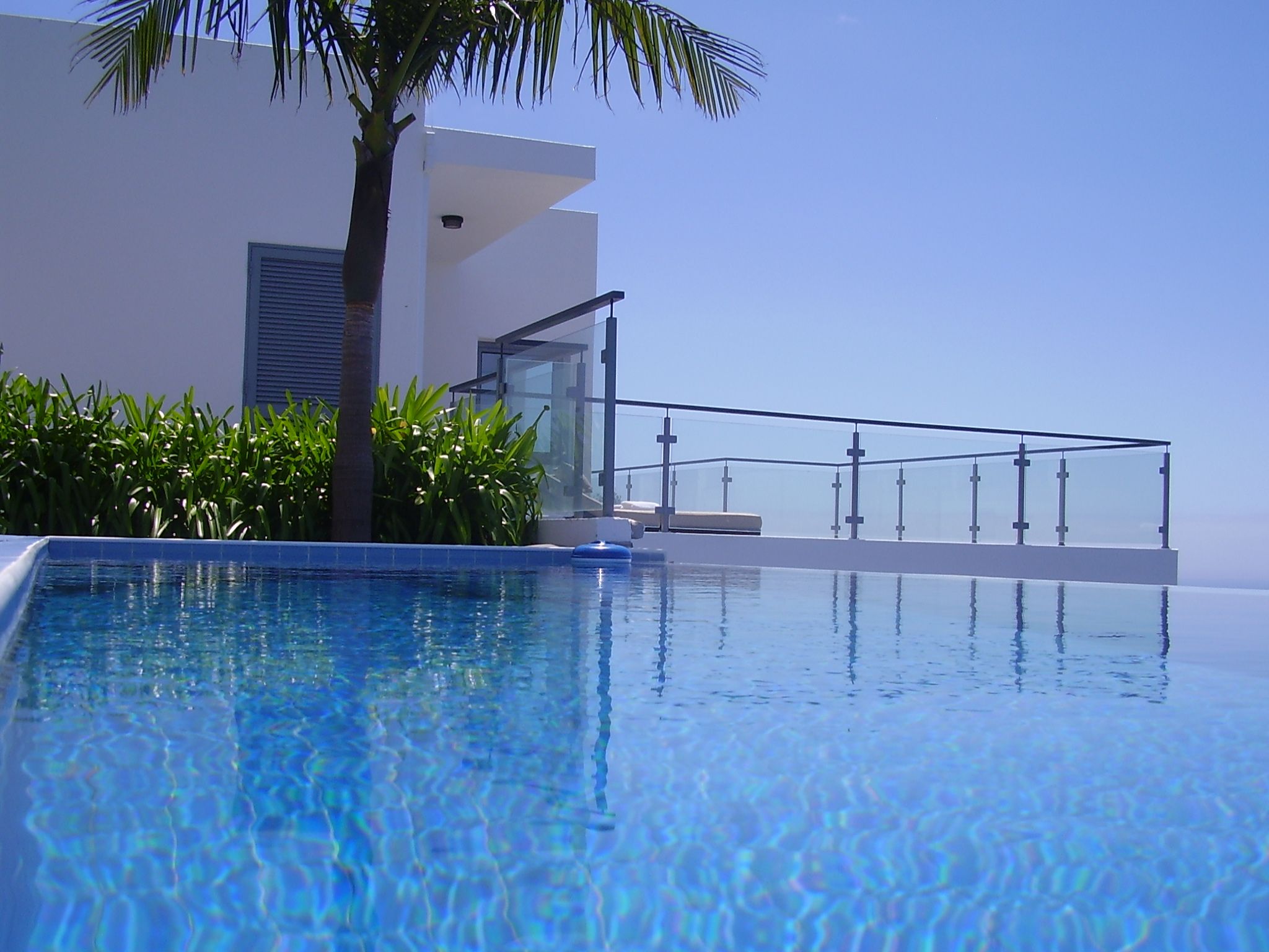 A clear blue pool with a modern building and palm trees in the background.
