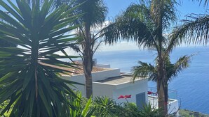 A coastal view with palm trees and a building with a white facade. - Quinta Pereira ... beautiful panoramic views and ocean sunsets  (Faja Da Ovelha)