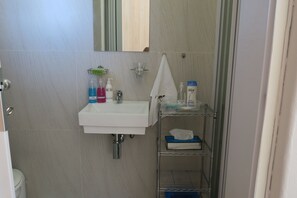 Hair dryer, towels, shampoo, toilet paper