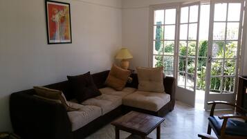 TV, fireplace, DVD player, books