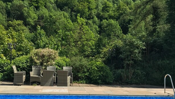 A swimming pool with a clear blue water surface, surrounded by a patio area with wicker furniture. - Riversdale Lodge is set in the heart of Symonds Yat overlooking the River Wye.  (Symonds Yat)