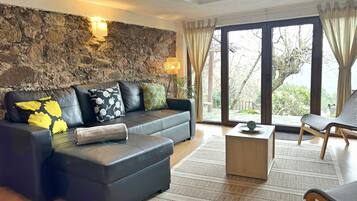 TV, fireplace, books