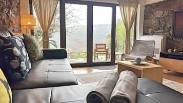 TV, caminetto, libri