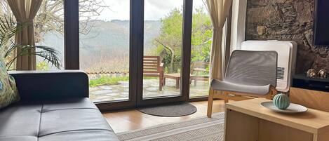 TV, fireplace, books