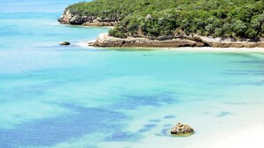 A coastal landscape with clear turquoise waters, a sandy beach, and a forested hill. - Fully equipped air-conditioned apartment in central Setúbal (Setúbal)