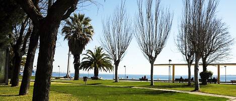 A park with a pathway, trees, and benches.