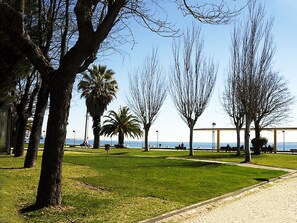 A park with a pathway, trees, and benches.