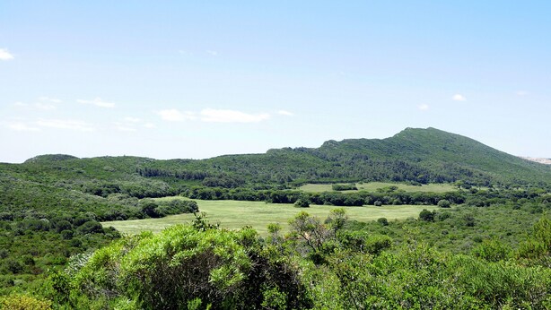 A lush green landscape with a hill in the background. - Fully equipped air-conditioned apartment in central Setúbal (Setúbal)