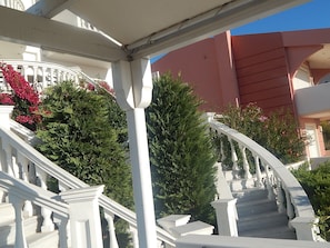 The house is surrounded by greenery