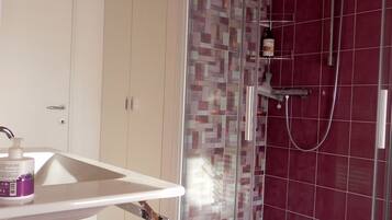 Shower, hair dryer, bidet, towels