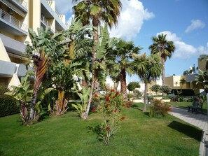 المنطقة المحيطة بالمنشأة