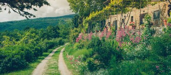 La Pergola typical Tuscan house with wonderful view
