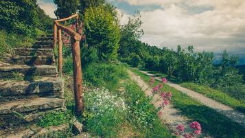 Área da propriedade