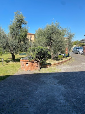 Parco della struttura