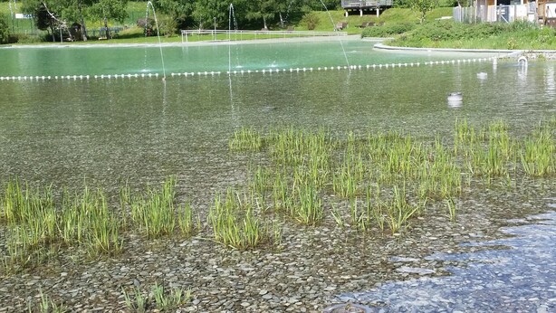 Un lago transparente con rocas visibles y hierba en la orilla, rodeado de un paisaje montañoso.