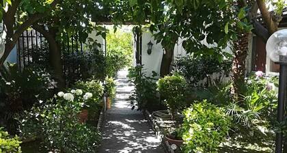Residenza Caserta Sud - Apartment with garden