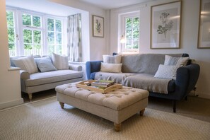 Smart TV, fireplace, DVD player, books