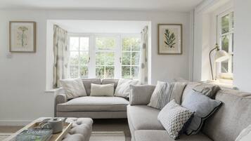 Smart TV, fireplace, DVD player, books