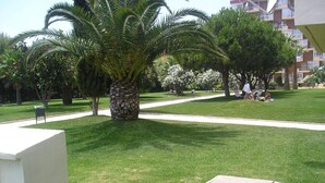 A grassy park area with a palm tree, a pathway, and a building in the background. - Studio apartment With Shared Pool, Garden And Kiosk Serving alcohol & ices/sweet (Benalmádena)