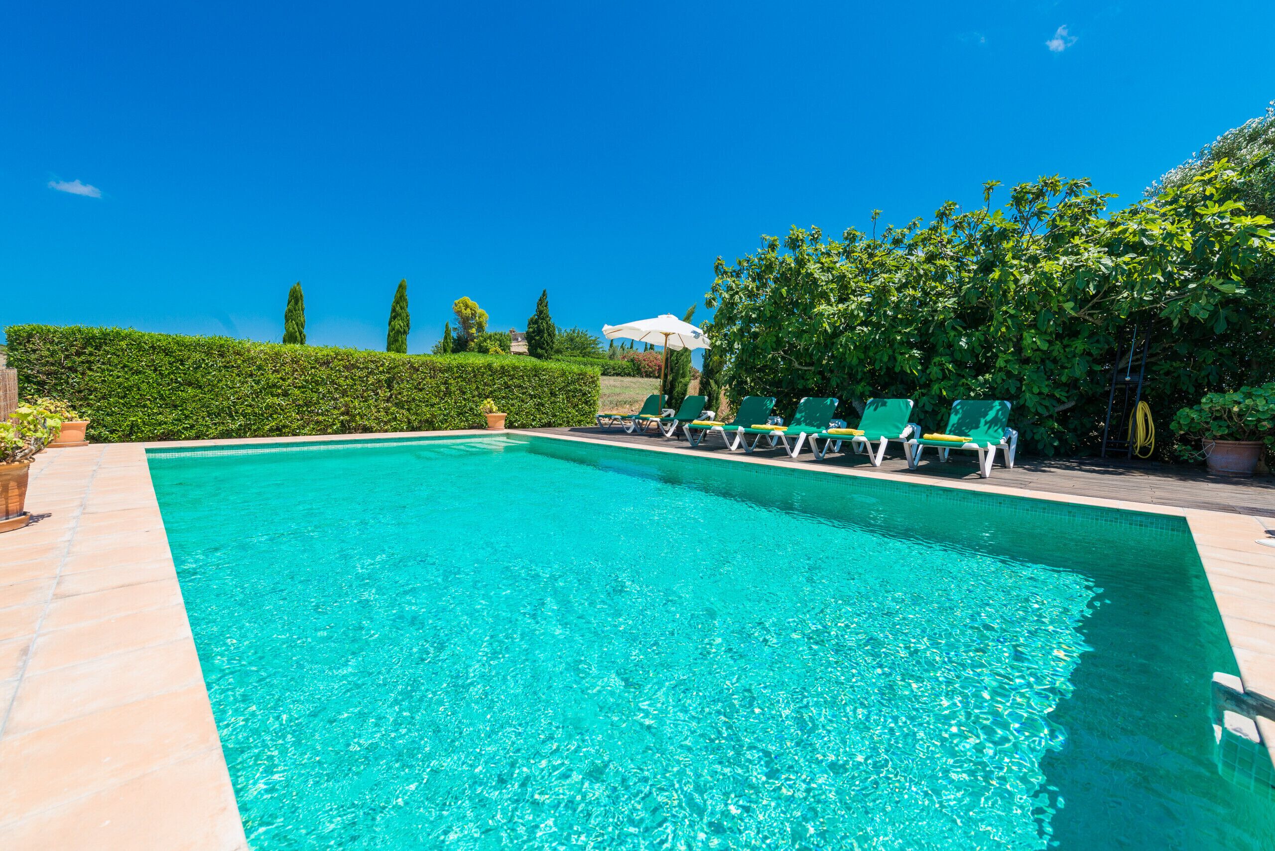 Ein rechteckiger Pool mit klarem, blauem Wasser, umgeben von einer Holzterrasse.