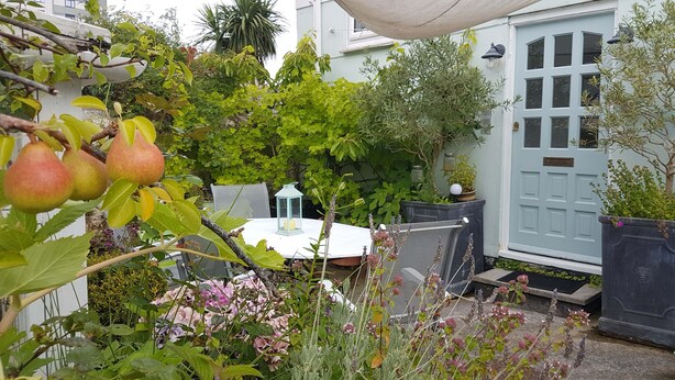 A garden with a table and chairs, surrounded by various plants and a door. - Coastal City Coach House on Plymouth's historic hoe (Plymouth)