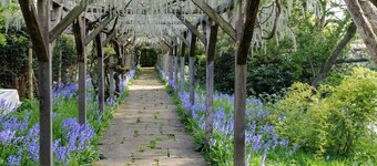 Great Tangley Manor 11th C Manor with indoor heated pool, London less than 1 hr