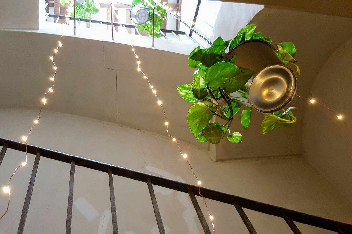 Un balcón con una planta colgante, luces de adorno y una maceta de metal.