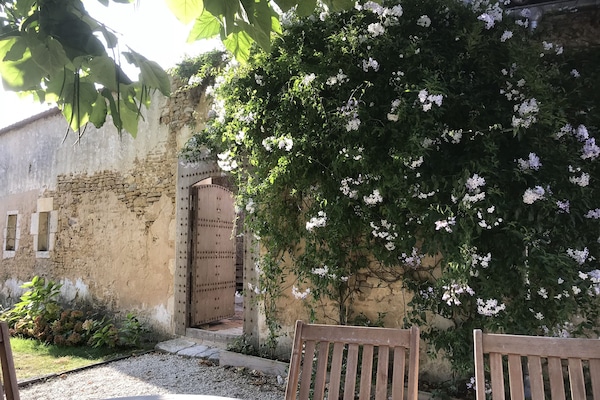 coin repas à l'ombre du catalpa