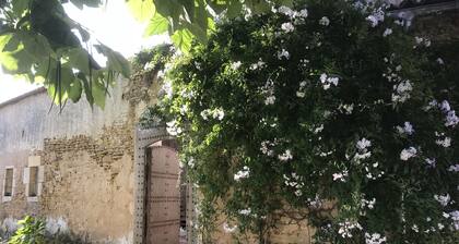 Village house with heated pool and garden