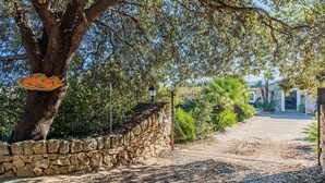 A stone wall, a tree, and a pathway leading to a building. - CAL REI  Ref. VP34 (Pollensa / Pollença)