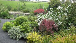 Ein Garten mit verschiedenen Pflanzen und einem Weg.