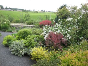 Property grounds - Begrum cottage Dogs welcome 1 bedroom Log burner On 1 level Conservatory (Kelso)