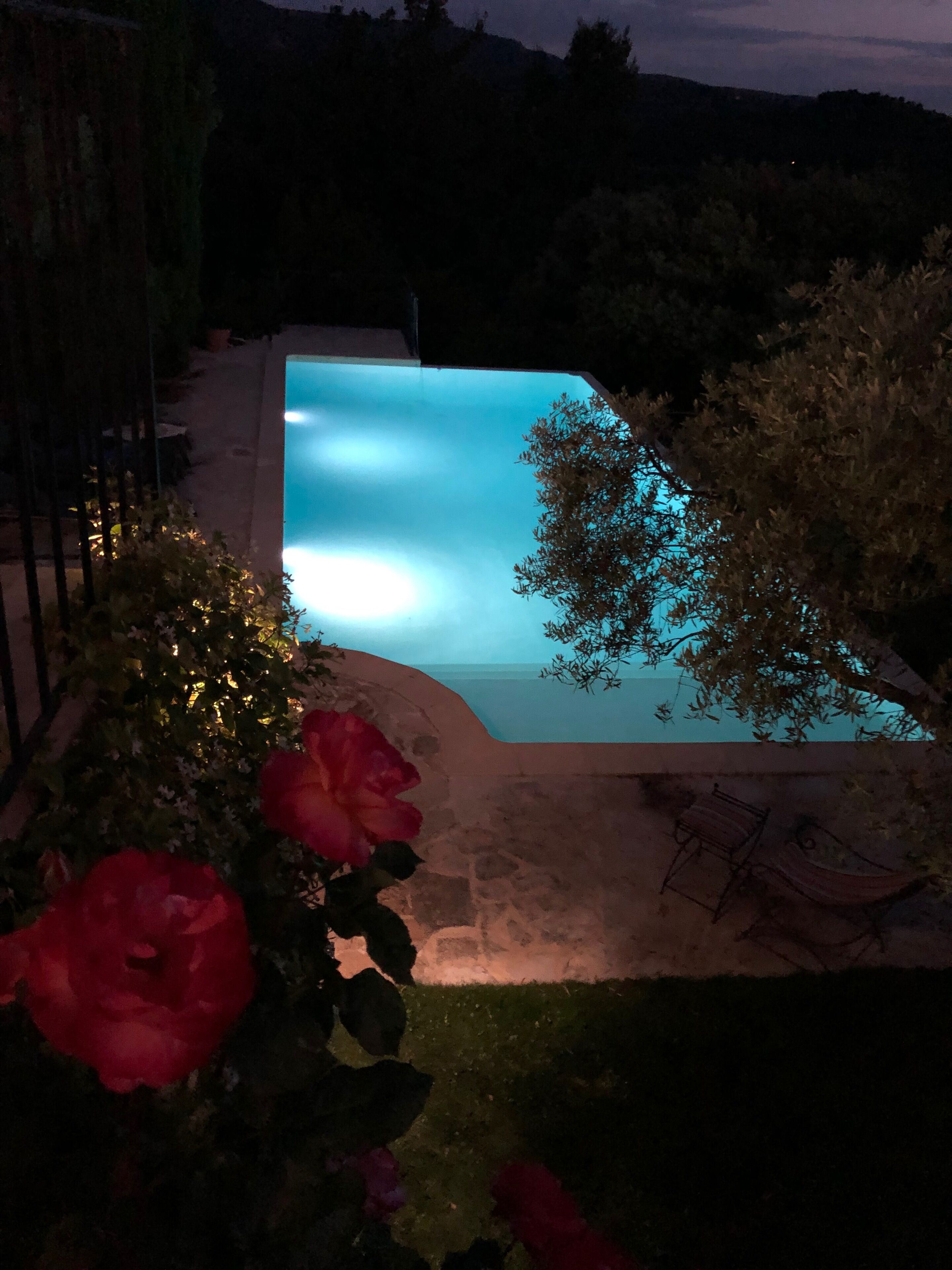 A swimming pool with a curved edge, surrounded by a garden with red flowers and a metal fence.