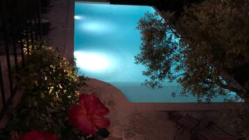 A swimming pool with a curved edge, surrounded by a garden with red flowers and a metal fence.