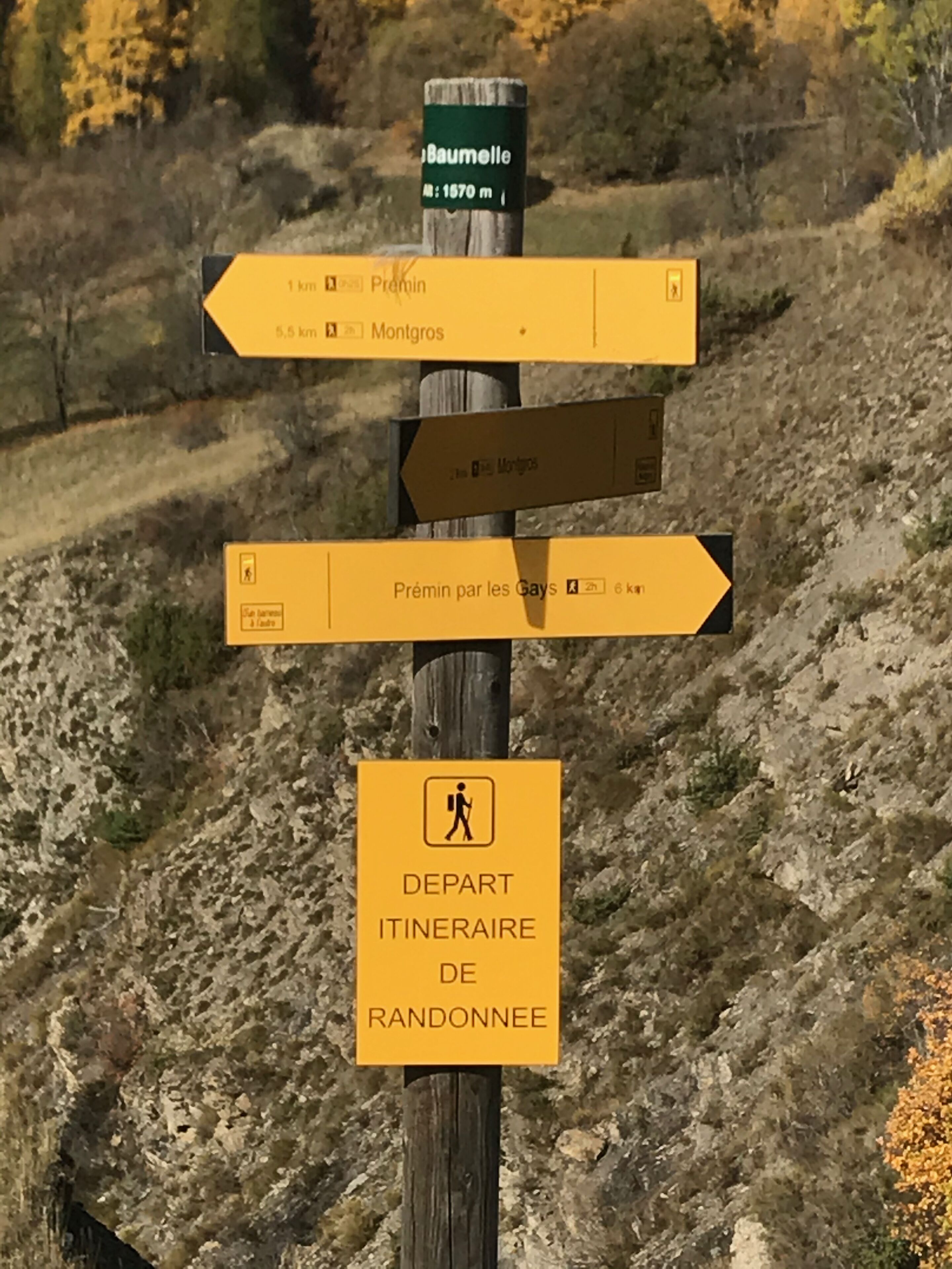 Eksteriør